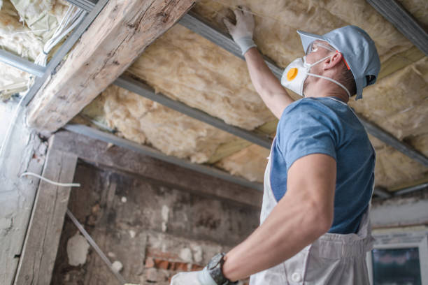 Best Cellulose Insulation in Union Beach, NJ